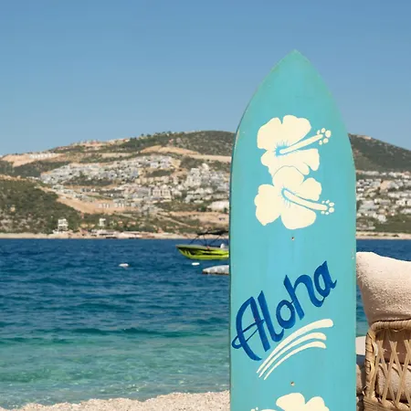 ホテル Kalkan Park *